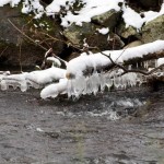 imbolc