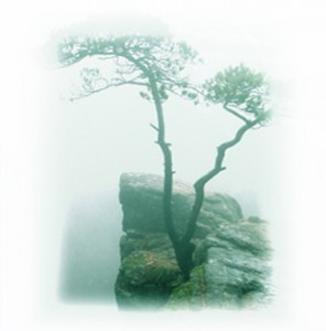 wudang_qigong