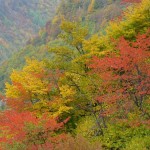 herbstgruesse