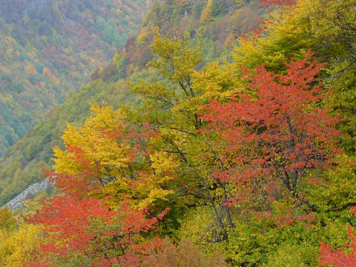 Herbstgrüße