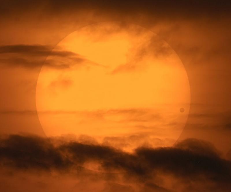 Venustransit