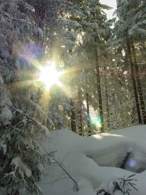 Schwitzhütte zum Jahresbeginn