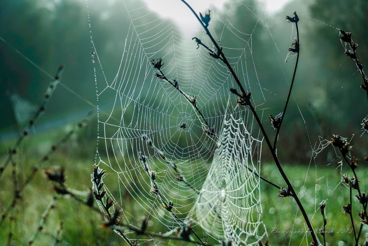 Es ist an der Zeit: Träume dein Leben