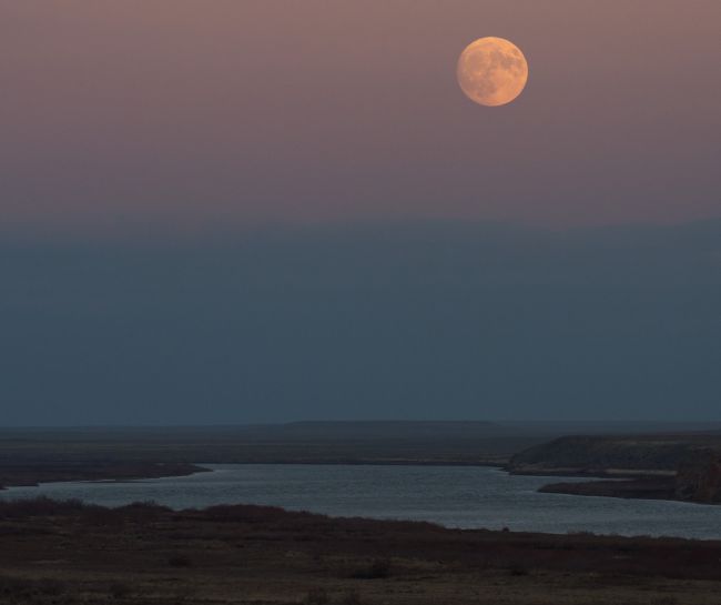 November Full Moon