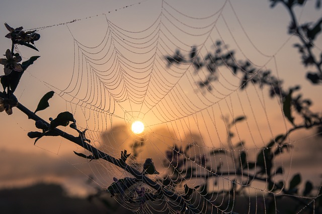 Samhain Schwitzhütte